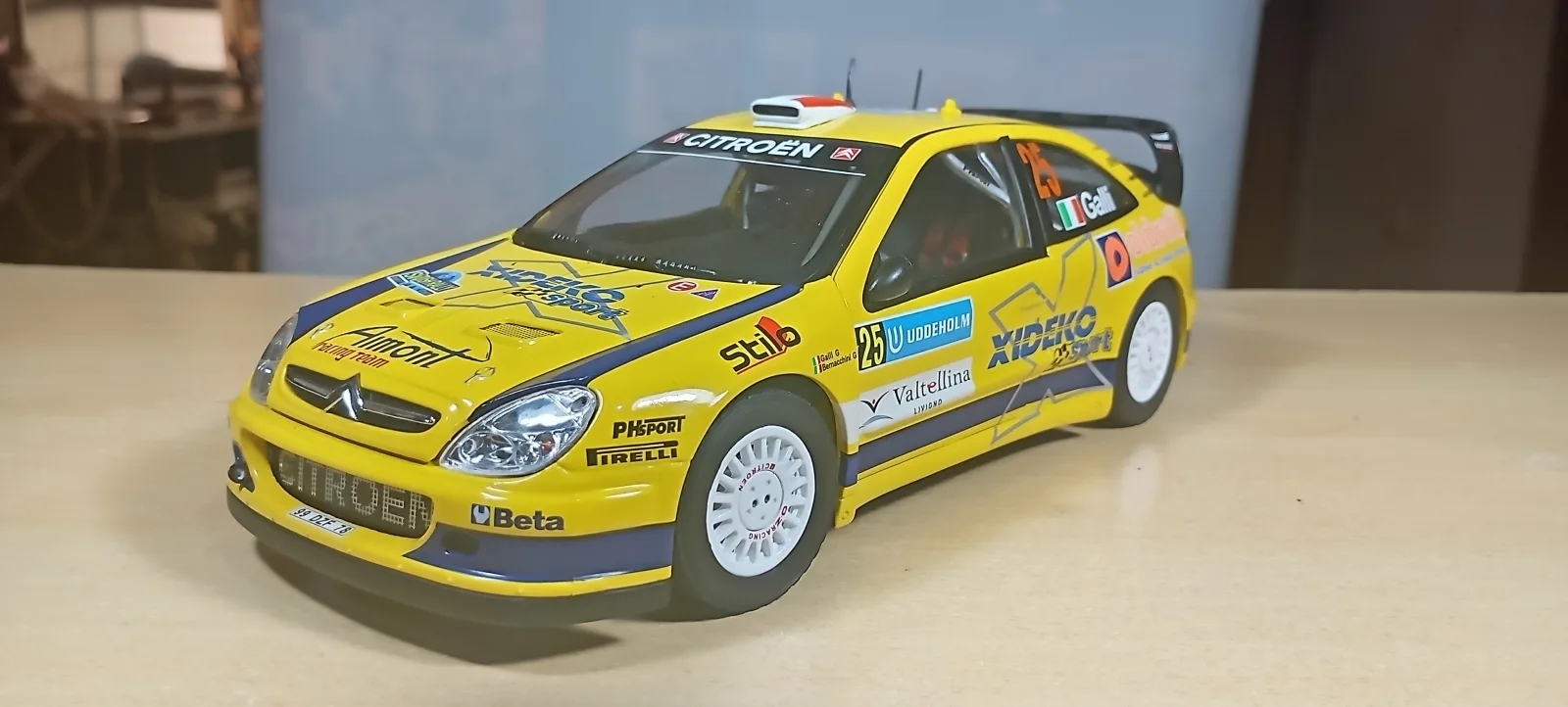 AUTO DE COMPETENCIA CITROEN XSARA WRC Nº25
